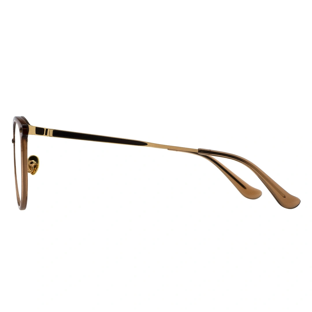 brown translucent eyeglasses