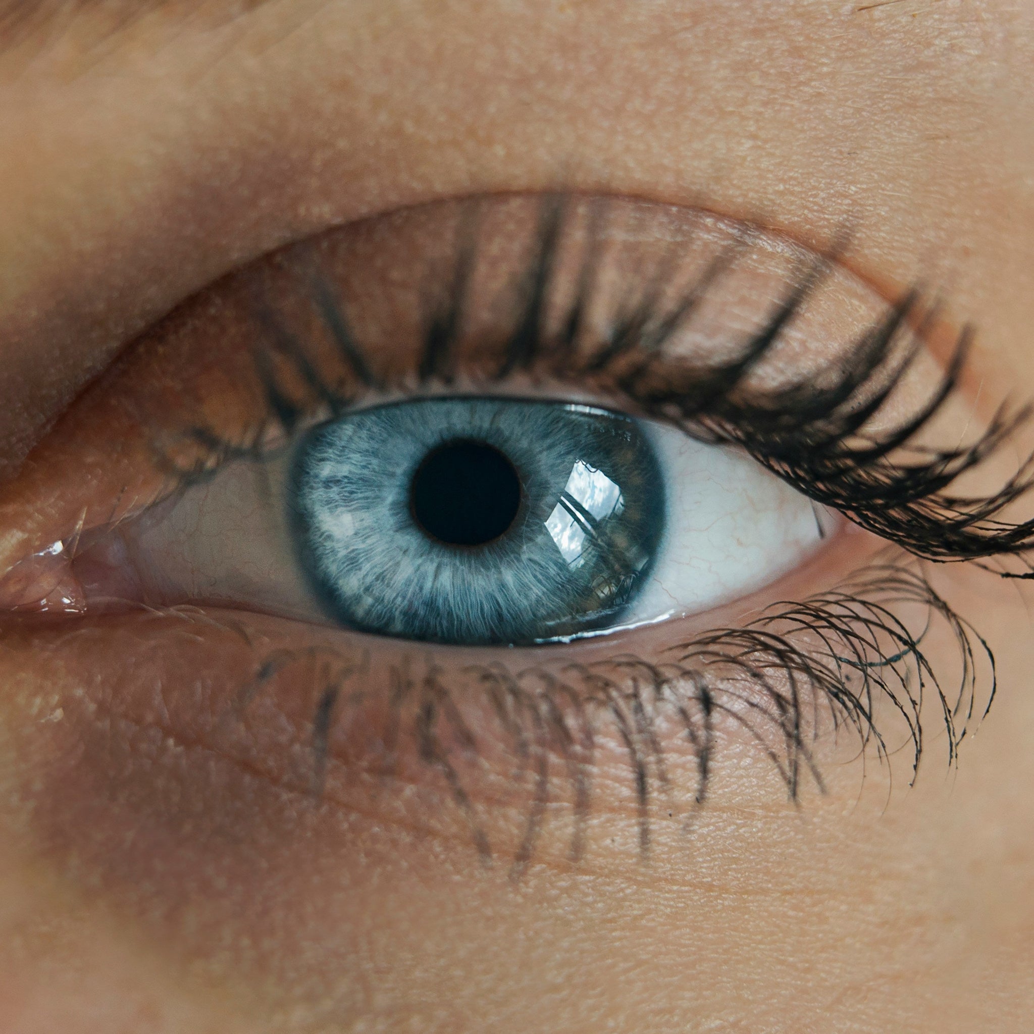 5 Interesting Facts About Blue Eyes in 2025