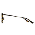 temple of eyeglasses