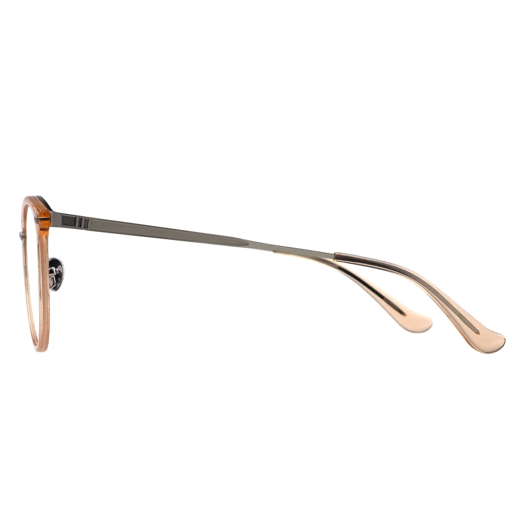 silver temple of eyeglasses