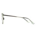 silver temple of eyeglasses