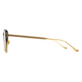 d-frame gold eyeglasses