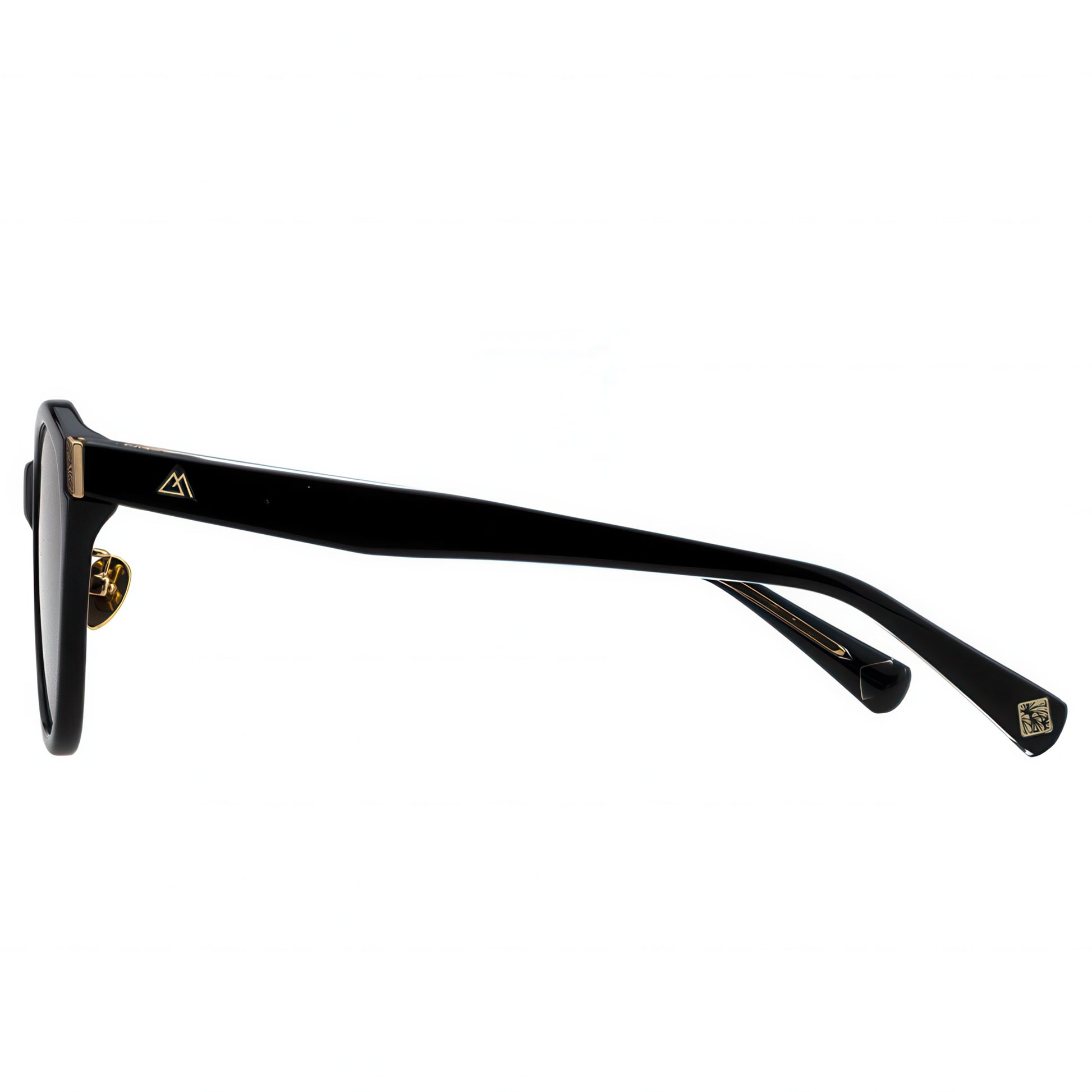 Black sunglasses with gold accents 