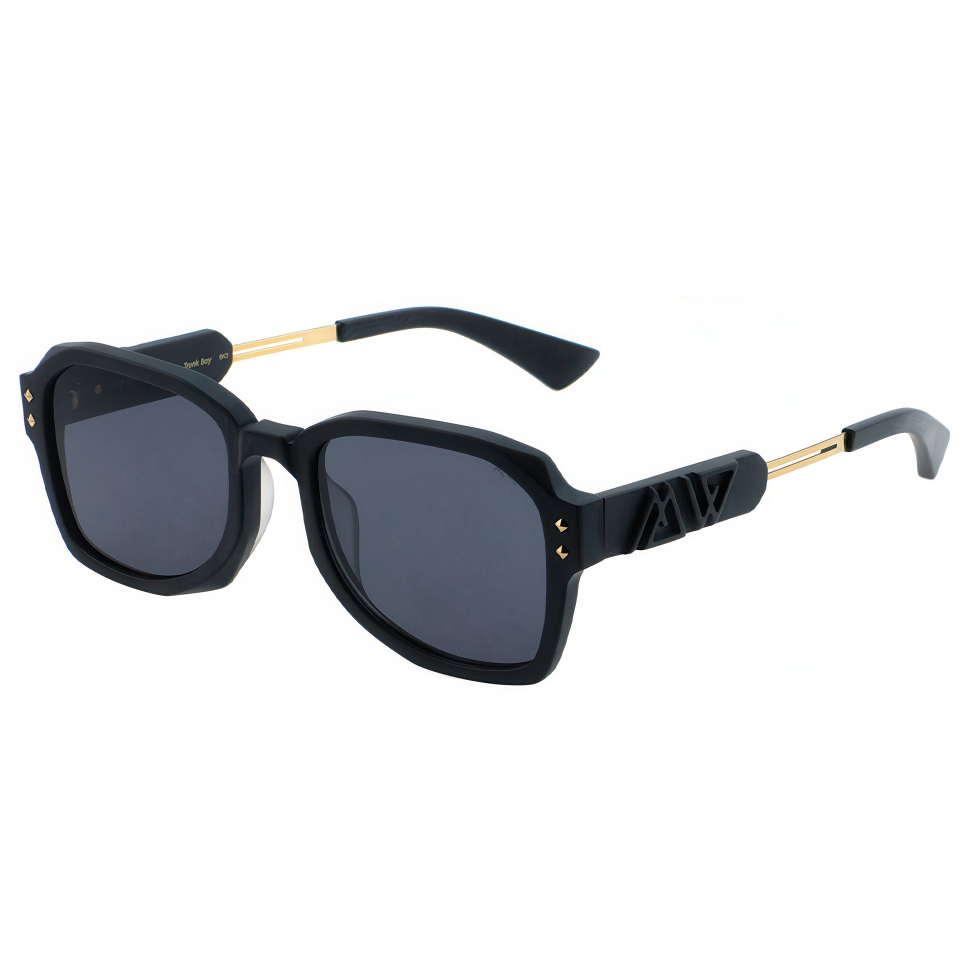 Black sunglasses with gold accents on a white background