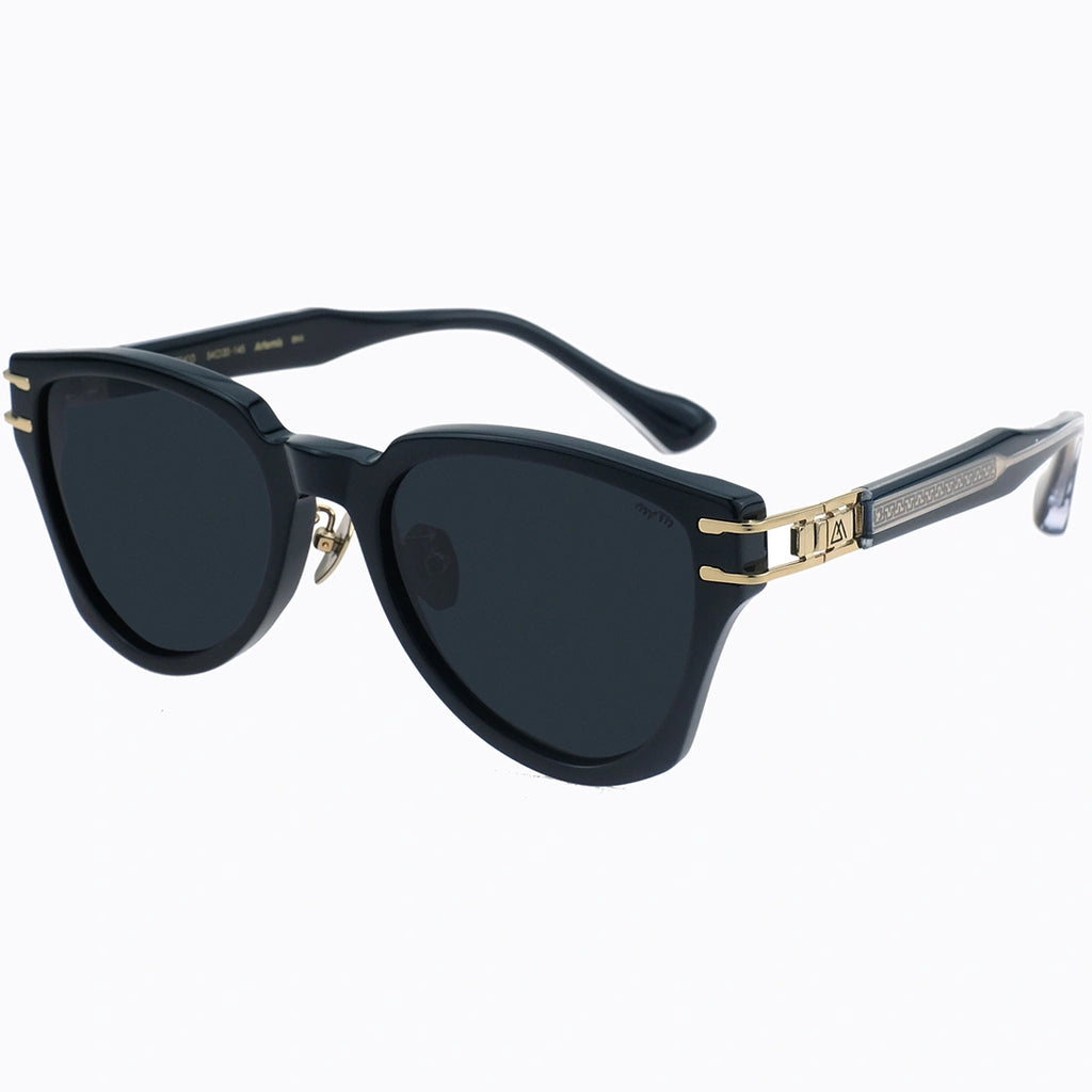 Black sunglasses with gold accents 
